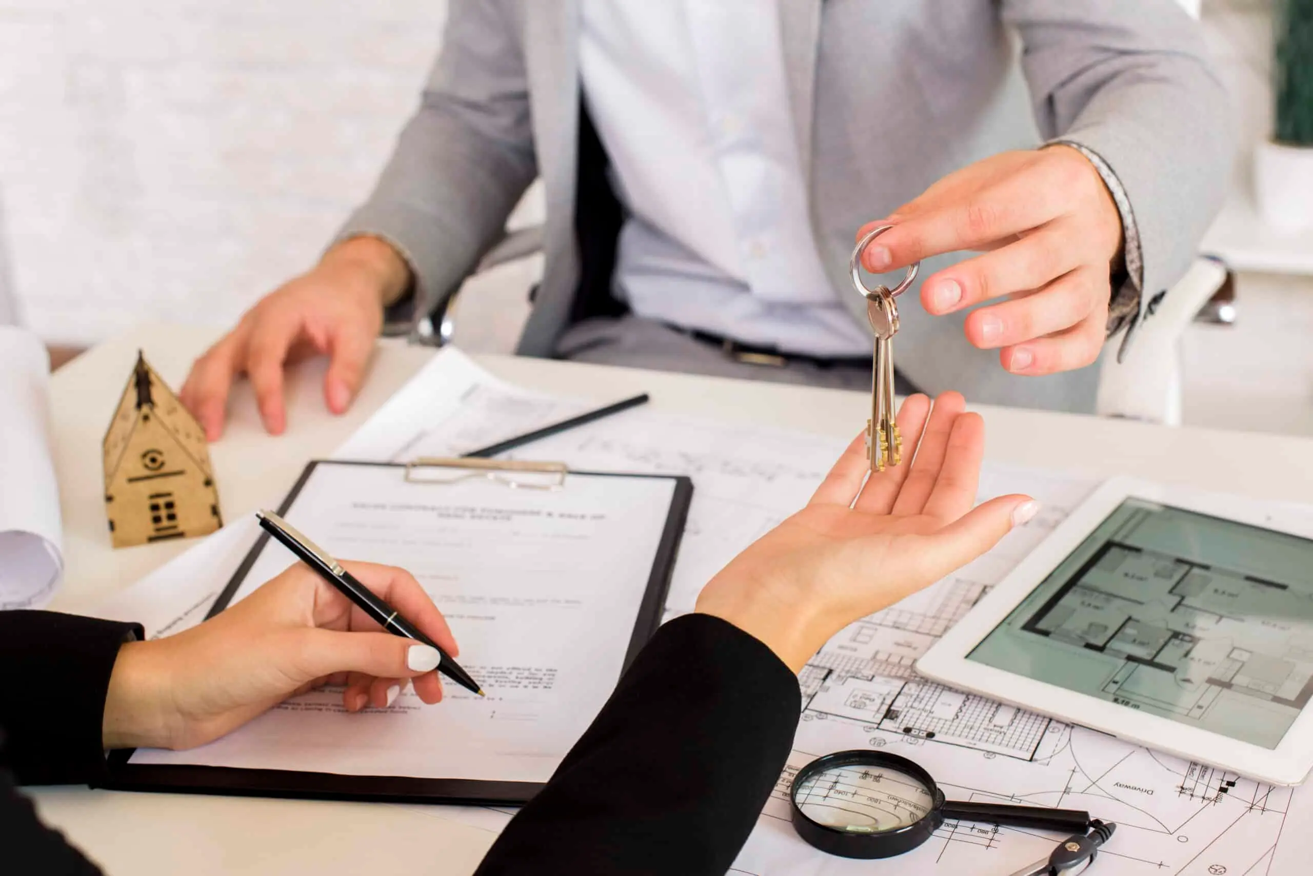Prestations professionnels atelier Iremia